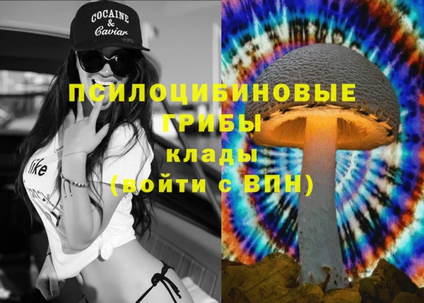 спиды Абдулино